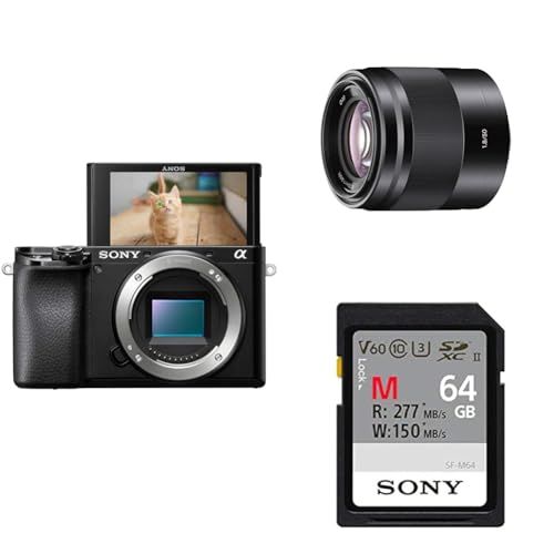 Sony Alpha 6100 + Portrait Creator kit